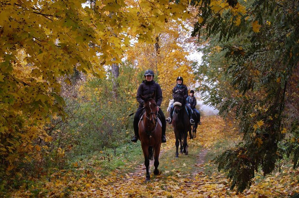 Ranch Pod Lesom Slovensky Raj Spissky Stiavnik Экстерьер фото